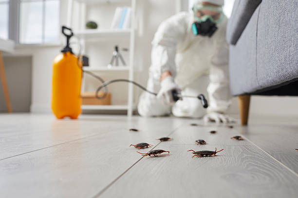 Commercial Kitchen Cockroach Control in Sloatsburg